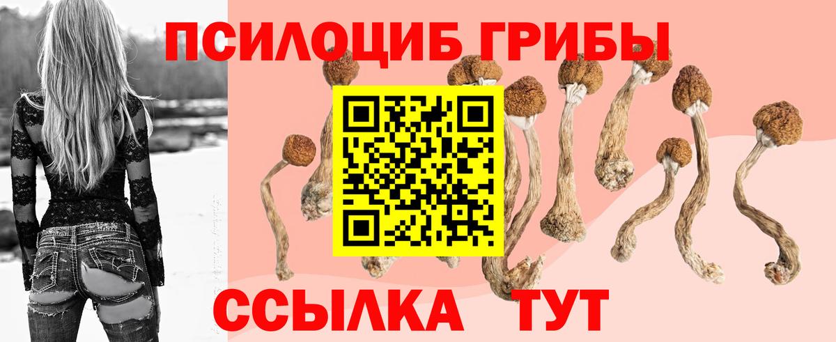Псилоцибиновые грибы GOLDEN TEACHER Киржач